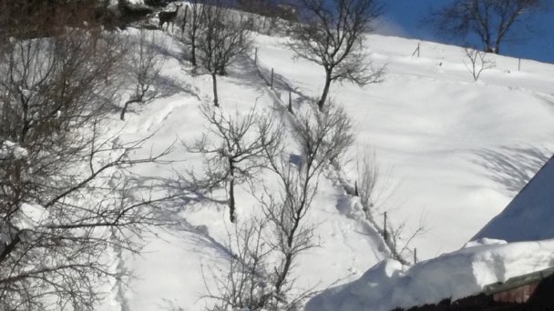 Chata Biely Potok 1275 Terchová 75