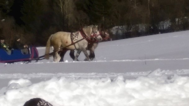 Chata Biely Potok 1275 Terchová 78