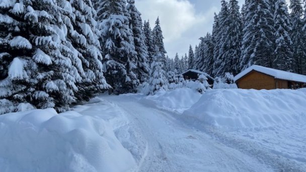 Bungalovy Jasná Demänovská Dolina 13