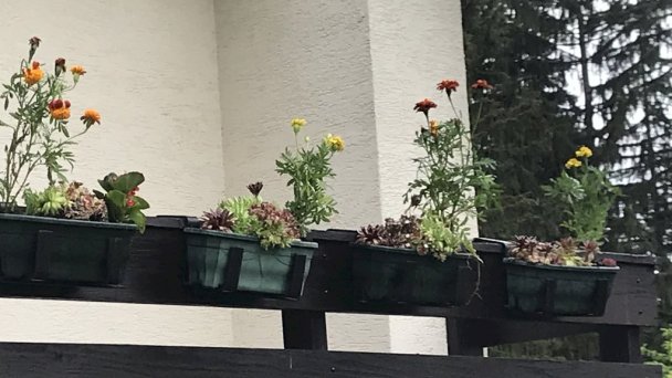 Chata Petronella Demänovská Dolina 25
