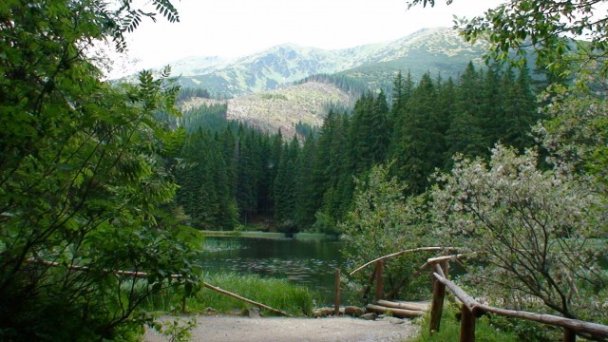 Penzión Aspen Demänovská Dolina 10 Penzión Aspen Demänovská Dolina 10