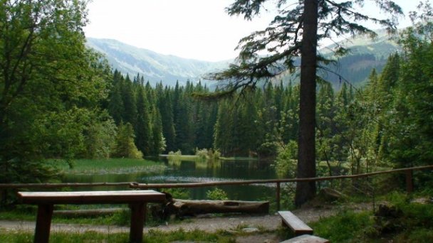 Penzión Aspen Demänovská Dolina 9 Penzión Aspen Demänovská Dolina 9