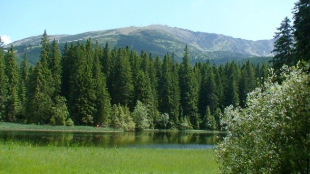 Penzión Aspen Demänovská Dolina 8 Penzión Aspen Demänovská Dolina 8