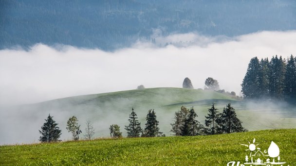 Ubytovanie U Deda a Starkej Čierny Balog 16 Ubytovanie U Deda a Starkej Čierny Balog 16