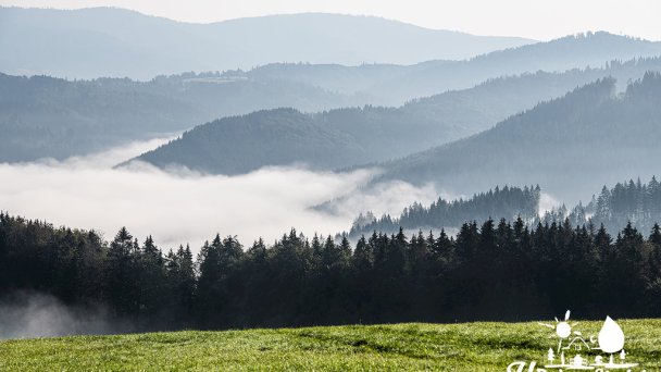 Ubytovanie U Deda a Starkej Čierny Balog 8 Ubytovanie U Deda a Starkej Čierny Balog 8