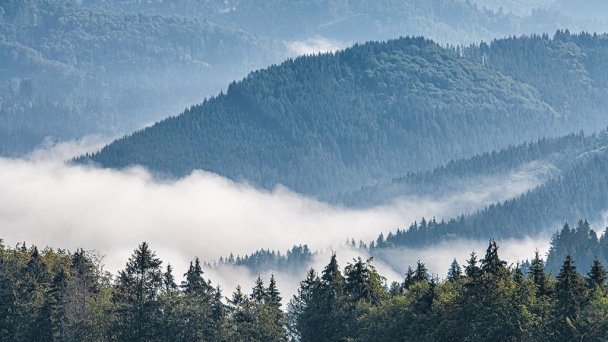 Ubytovanie U Deda a Starkej Čierny Balog 20 Ubytovanie U Deda a Starkej Čierny Balog 20