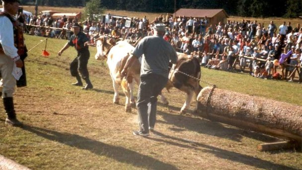 Penzión u Prmpeľov Čierny Balog 13