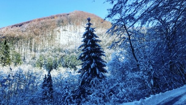 Ubytovanie Koliba Sklené Teplice 24