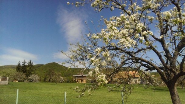 Chata Kašná hôrka (pôvodne Chata Tajch) Nová Baňa 16