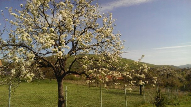Chata Kašná hôrka (pôvodne Chata Tajch) Nová Baňa 17