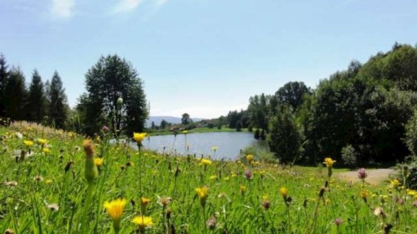 Chata Kašná hôrka (pôvodne Chata Tajch) Nová Baňa 25