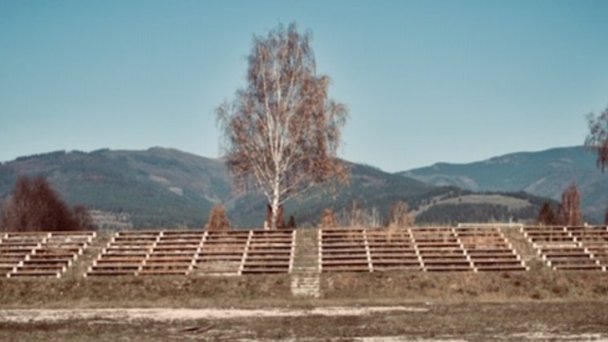 Drevenica Emilka Polomka 81