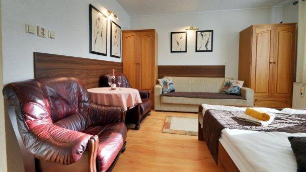 Apart Hotel VILLA IVICA  Záhorská Bystrica 17