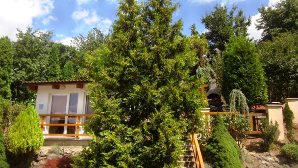 Apart Hotel VILLA IVICA  Záhorská Bystrica 56