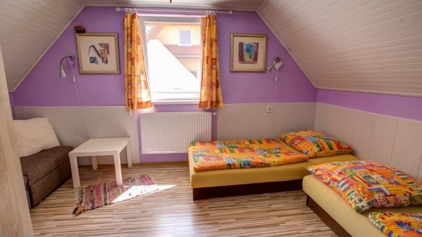 Domčeky HOLIDAY Liptovský Trnovec 24