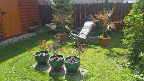 Apartmány Elen Dunajská Streda 8
