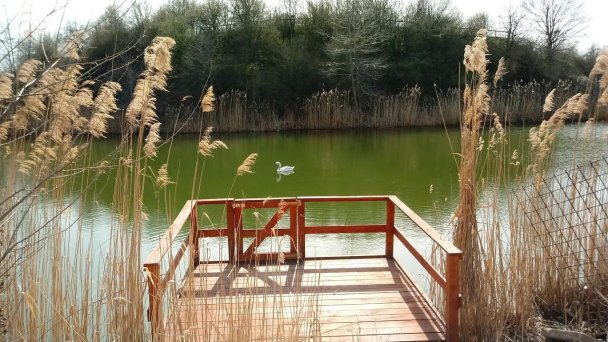 Apartmán Nóra Dunajská Streda 5 Apartmán Nóra Dunajská Streda 5