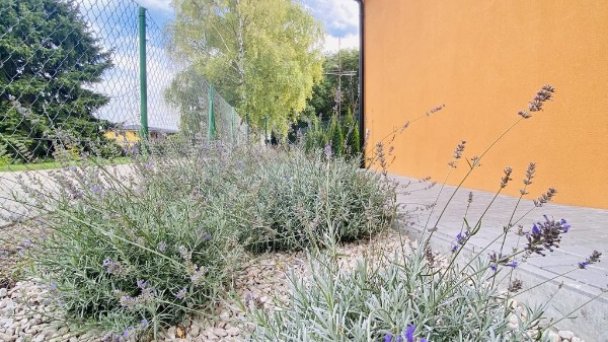 Apartmány Kaja a Niko Veľký Meder 61