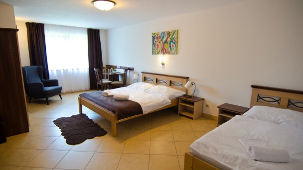 Garni Hotel Fatra Terchová 17