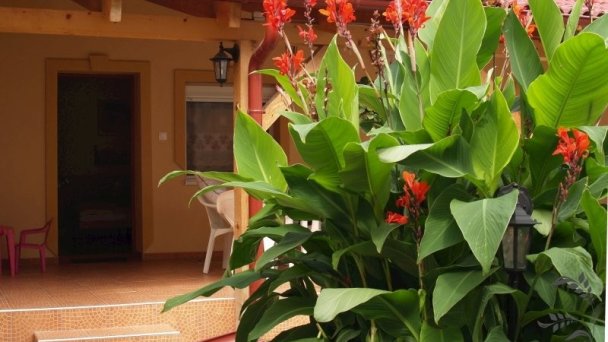 Apartmány Vlcsko Veľký Meder 18
