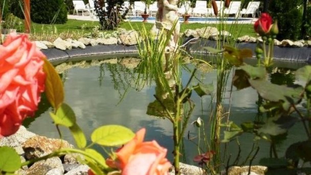 Apartmány Vlcsko Veľký Meder 26