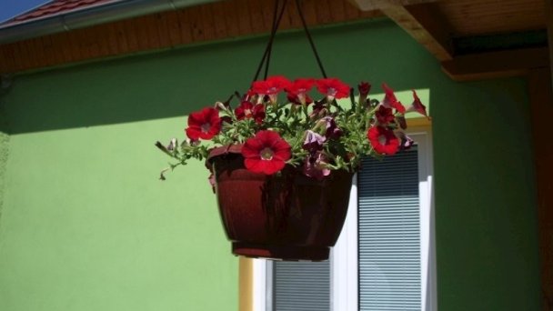 Ubytovanie u Angely, Veľký Meder 20 Ubytovanie u Angely, Veľký Meder 20