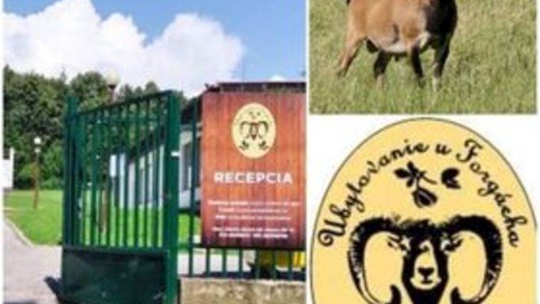 Ubytovanie u Forgácha Jelenec 57