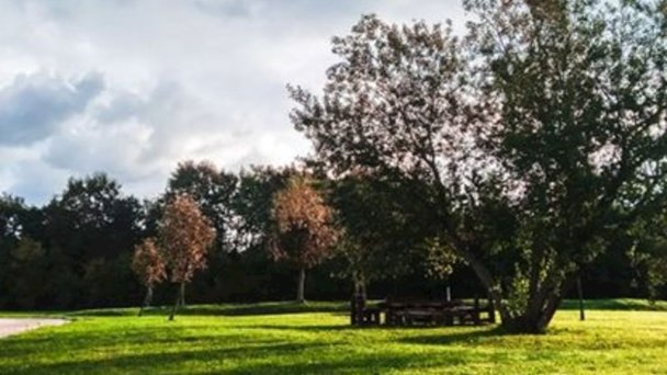 Ubytovanie u Forgácha Jelenec 59