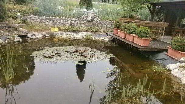 Bartal penzión Veľký Meder 19