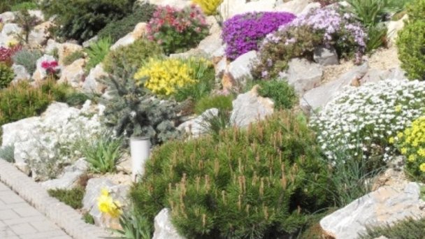 Apartmánový dom Euro Podhájska 22