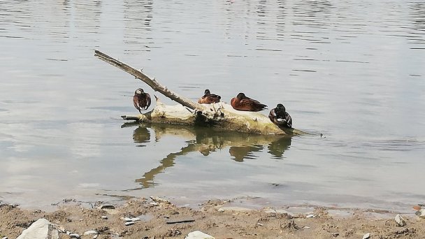 Chata TOBO Radvaň nad Dunajom 9