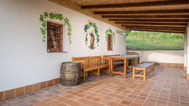 Chata pod vinicami Vesna Slepčany 5 Chata pod vinicami Vesna Slepčany 5