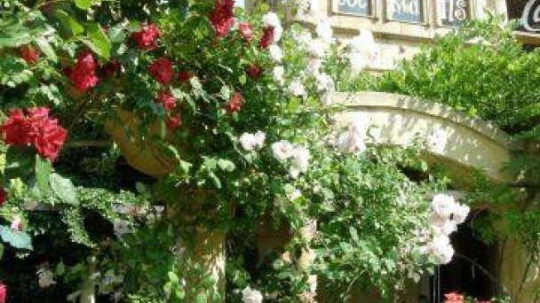 Hotel Bow Garden Komárno 21 Hotel Bow Garden Komárno 21