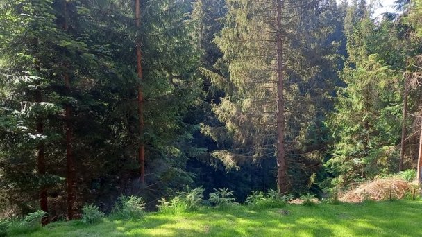 Frenkova Chata Turčianske Jaseno 11
