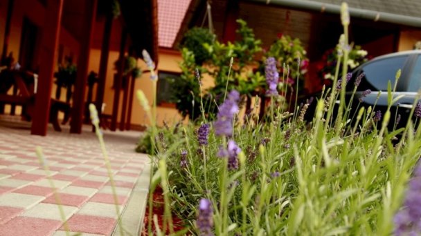 Apartmány Levandula Veľký Meder 21