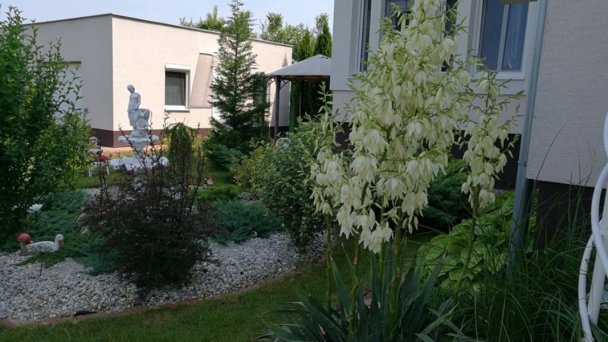 Apartmány Šarlota Veľký Meder 25