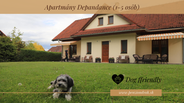 Penzión Drak a Apartmány Demänová 3