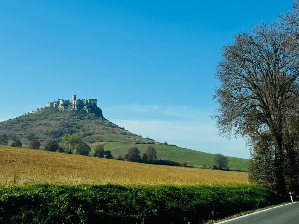 Pohľad na Spišský hrad a okolité stromy a žlté polia.