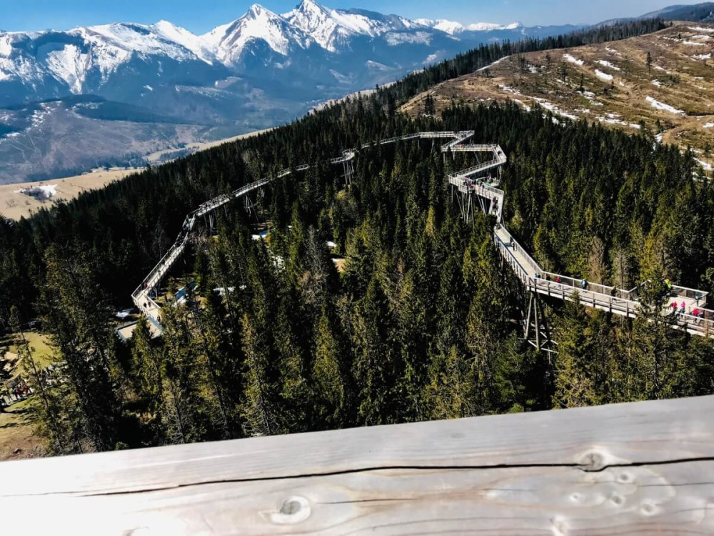 Chodník v korunách ihličnatých stromov, v pozadí zasnežené Tatry.