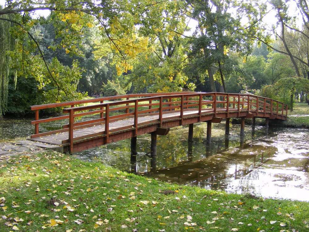 Drevený mostík nad jazierkom v mestskom parku v Nitre.