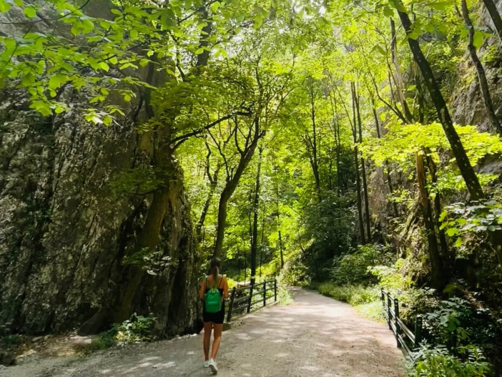 Žena kráča po lesnej cestičke a mostíku obklopenom stromami.