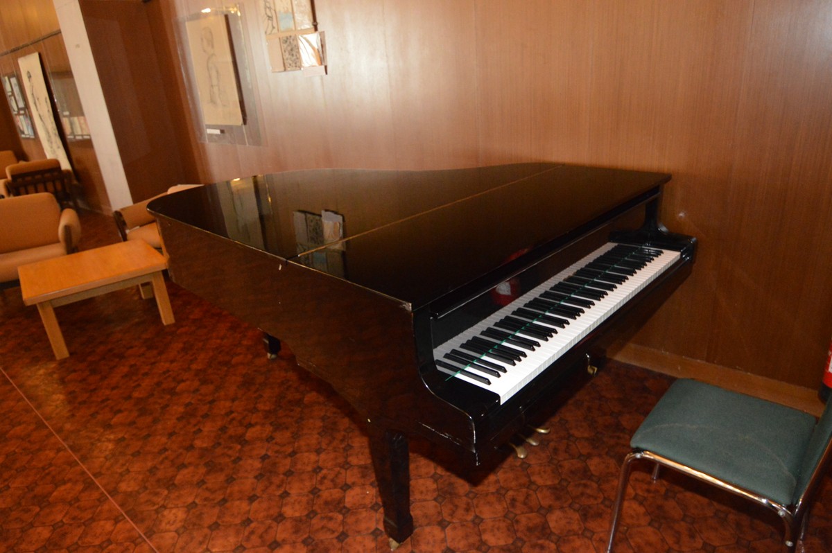 Piano Weinbach, który powrócił Viliam Soboňa Spa Sliac