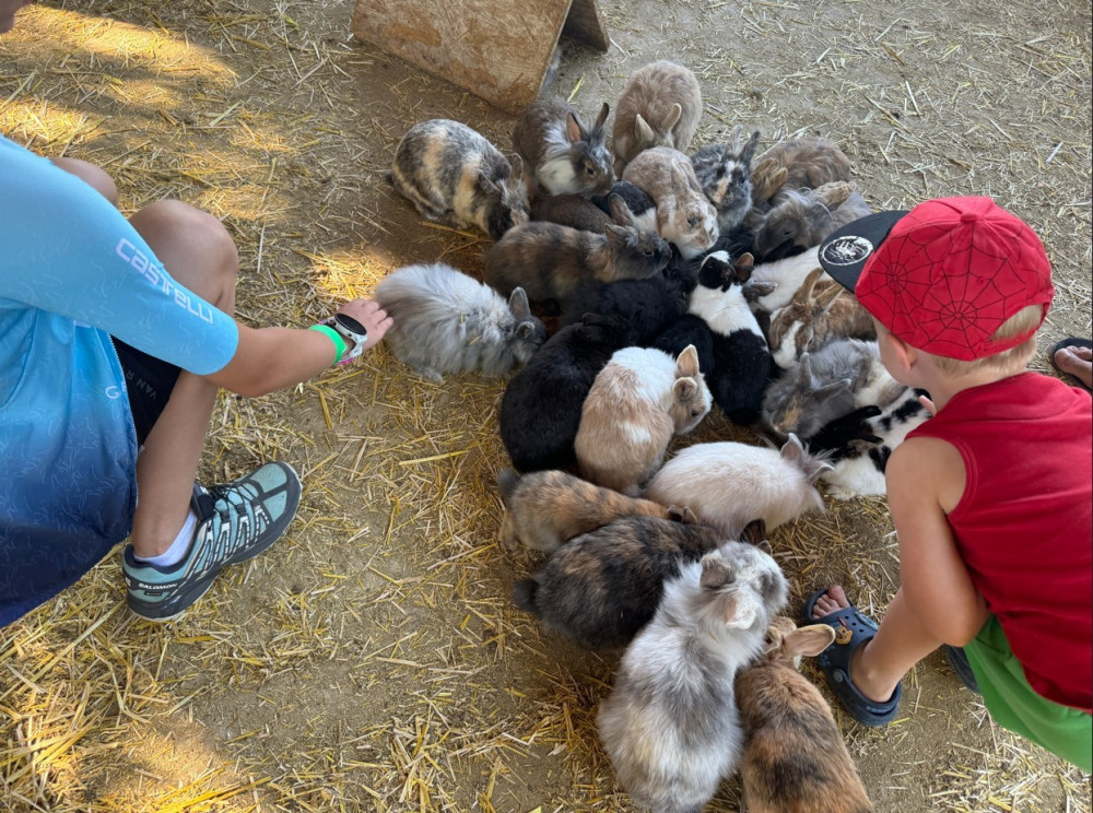 Eko Park Piešťany kontaktná ZOO