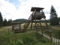 img_7416_resize.jpg