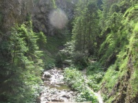 img_7444_resize.jpg