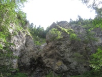 img_7445_resize.jpg