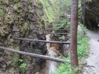 img_7446_resize.jpg