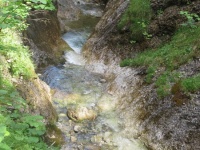 img_7452_resize.jpg