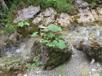 img_7456_resize.jpg