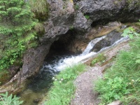 img_7459_resize.jpg